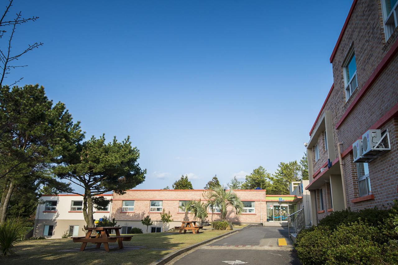Jeju Youth Hostel Eksteriør billede