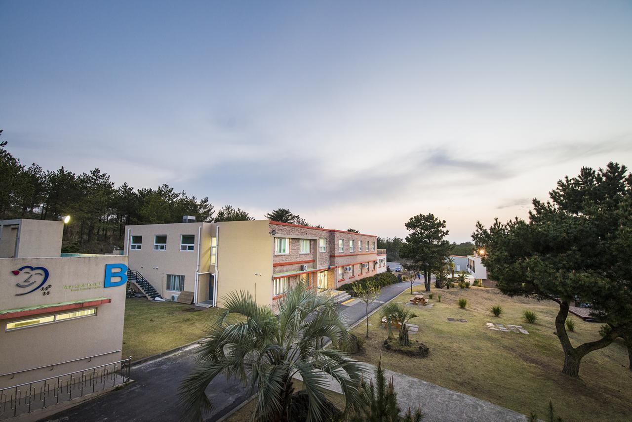 Jeju Youth Hostel Eksteriør billede