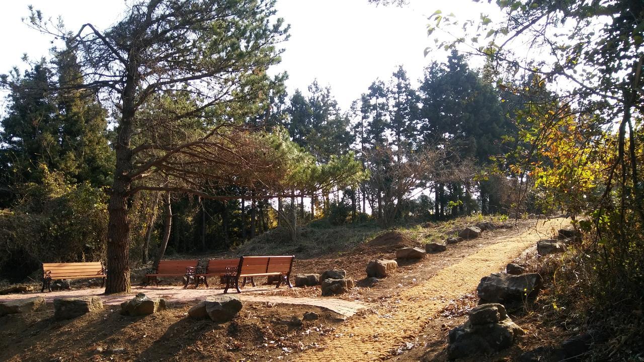 Jeju Youth Hostel Eksteriør billede