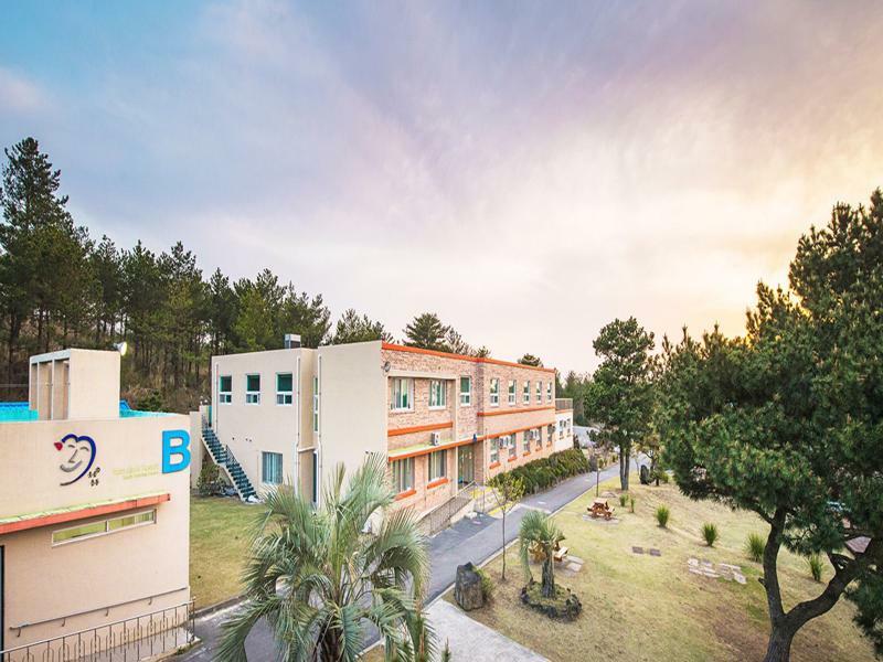 Jeju Youth Hostel Eksteriør billede